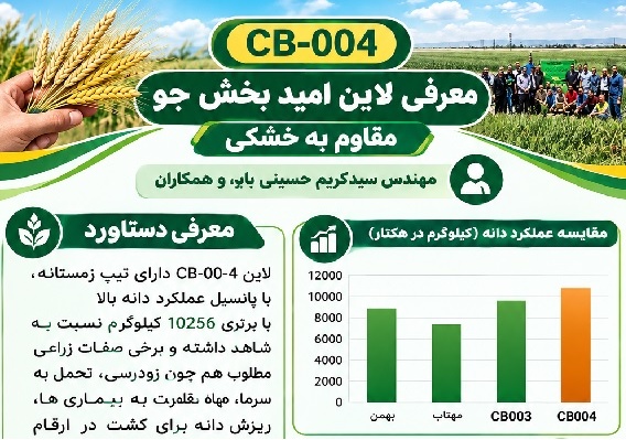 معرفی لاین امید بخش جو مقاوم به خشکی CB-004