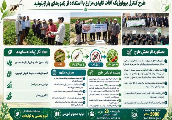 طرح کنترل بیولوژیک آفات کلیدی مزارع با استفاده از زنبور پارازیتوئید