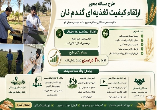 طرح مسئله محور ارتقا کیفیت تغذیه ای گندم نان