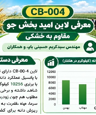 معرفی لاین امید بخش جو مقاوم به خشکی CB-004