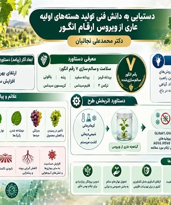 دستیابی به دانش فنی تولید هسته های با کیفیت عاری از ویروس 6 رقم انگور