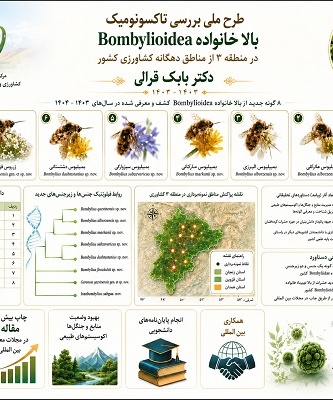 طرح ملی بررسی تاکسونومیک بالا خانواده Bombylioidea در منطقه 3  از مناطق دهگانه کشاورزی کشور