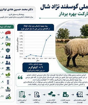 اصلاح نژاد عملی گوسفند نژاد شال به مشارکت بهره بردار