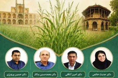 مدیریت به زراعی ارزن پادزهری