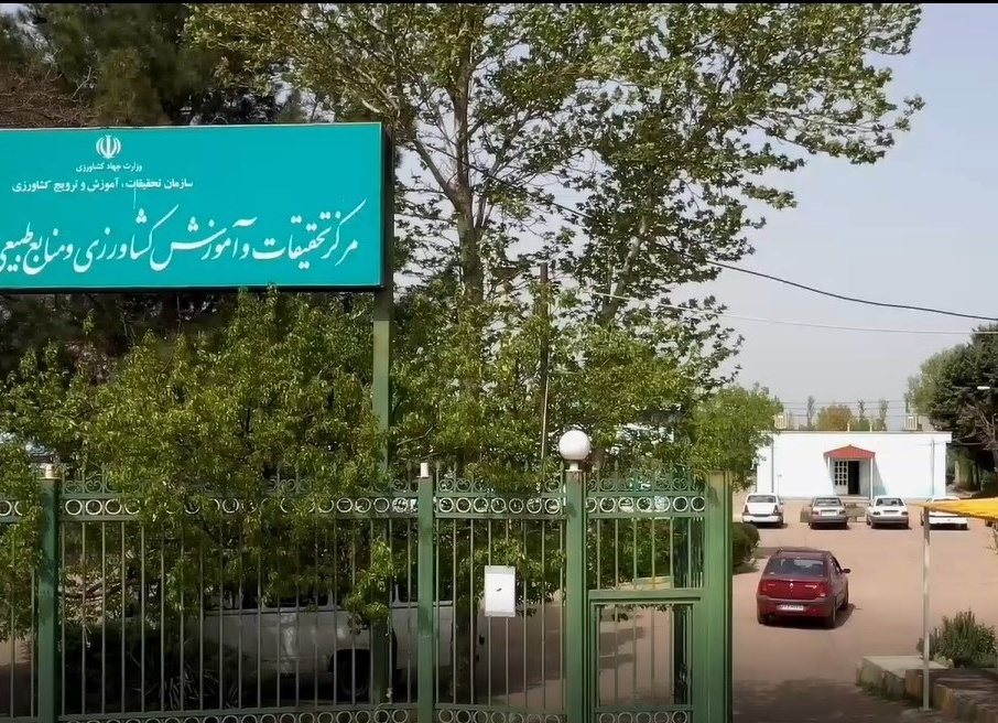 بنر