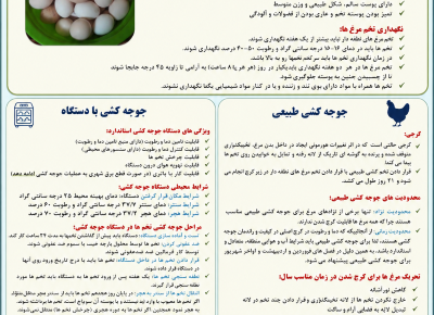 تولیدات آموزشی