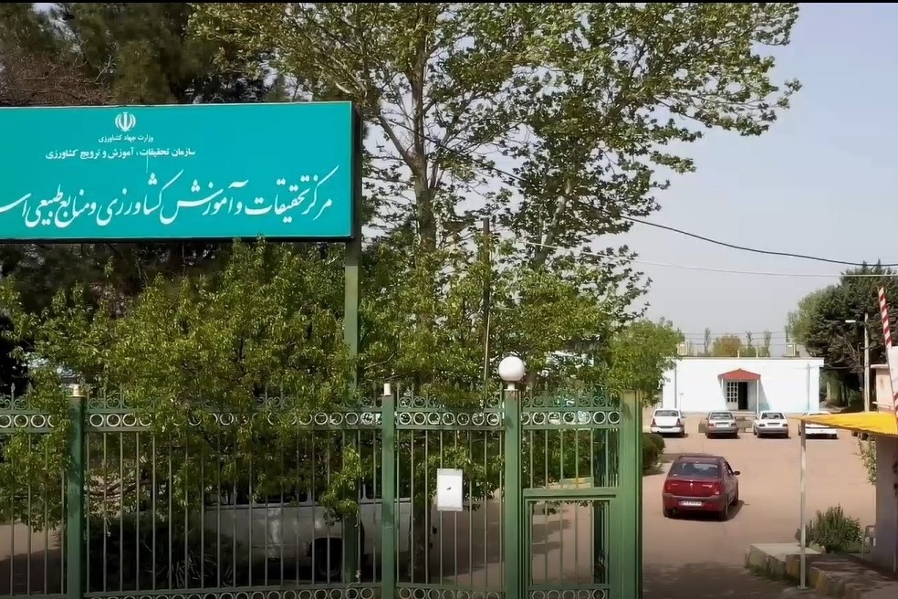 فیلم