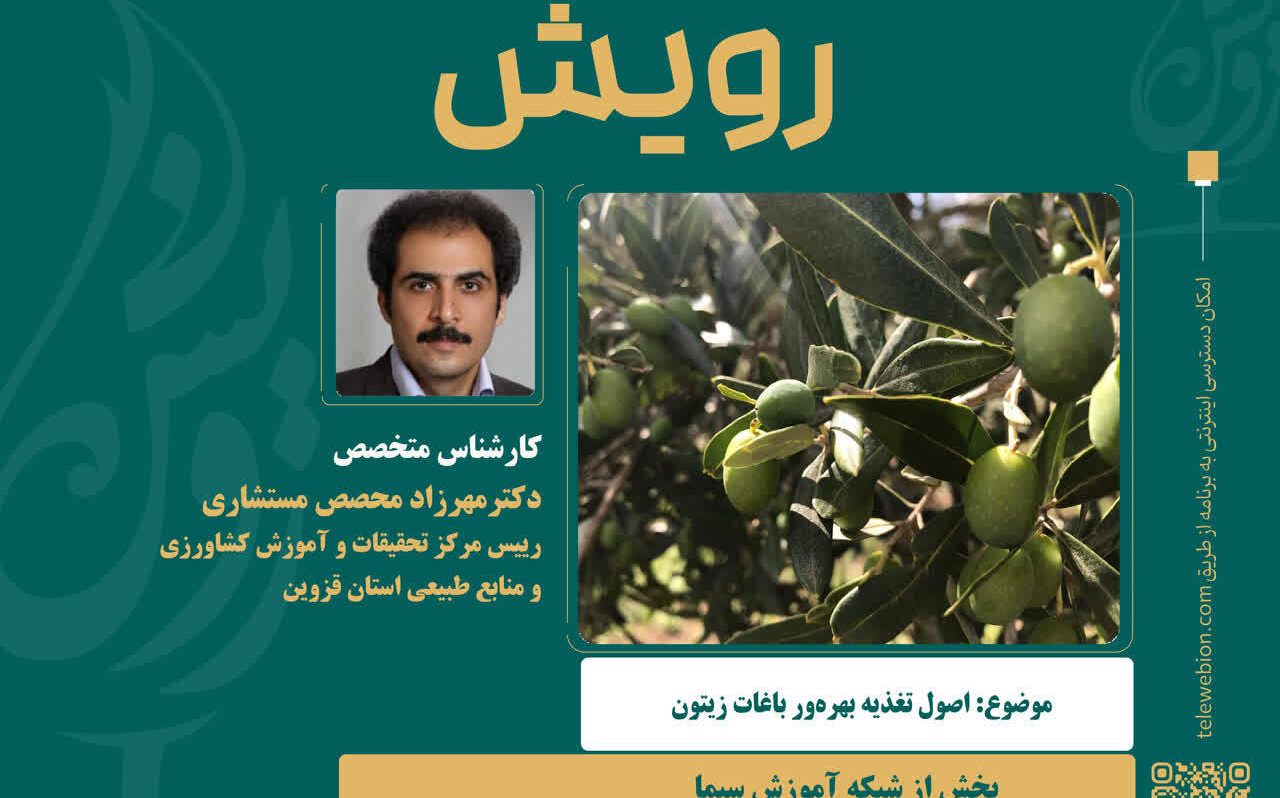 اصول