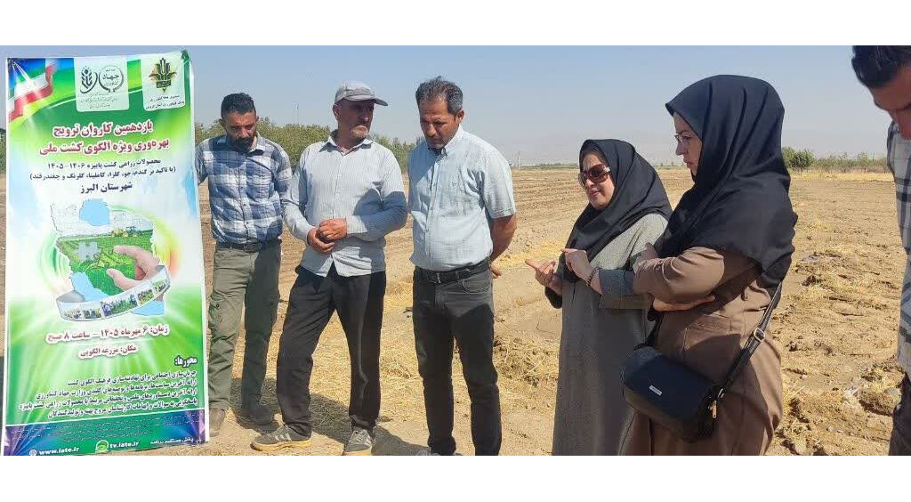 کاروان ترویج بهره‌وری در مزارع الگویی؛ کلزا شهرستان البرز یازدهمین کاروان ترویج بهره‌وری در مزارع الگویی کلزا در شهرستان البرز