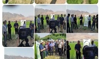 هم افزایی مرکز تحقیقات و آموزش کشاورزی استان  و مدیریت جهاد کشاورزی شهرستان قزوین