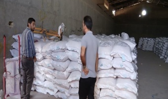 بازدید نظارتی از مزارع شرکتهای تولید کننده بذر گندم دیم استان قزوین