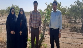 بازدید از پروژه سرشاخه کاری و دستاوردهای ایستگاه تحقیقات پسته یزبر