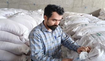 نمونه‌برداری از بذور گندم و جو آبی و دیم جهت تولید بذر با کیفیت گواهی شده