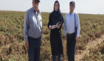 محققین مرکز ؛ مصمم در پایش نیترات محصولات کشاورزی استان قزوین