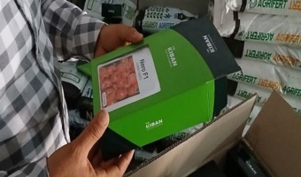 نمونه‌برداری از بذر سنواتی وارداتی (گوجه فرنگی رقم Nero F۱)