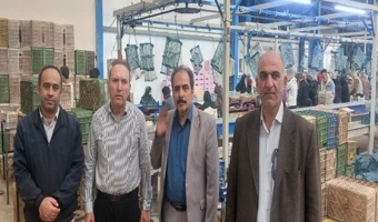 بازدید رئیس مرکز تحقیقات کشاورزی قزوین از کشت و صنعت آقای قهرمانی