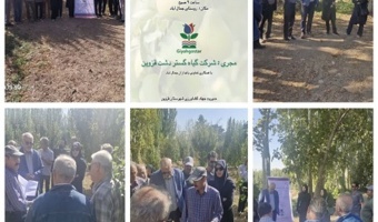 همگرایی با موسسات مادری با هدف نفوذ دانش در عرصه