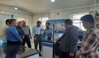 بازدید کارشناسی از بذور مادری تولیدی در استان قزوین؛ کشت پایدار در گرو بذر سالم