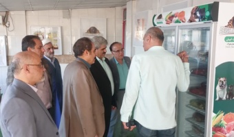 بازدید رئیس مؤسسه تحقیقات علوم دامی کشور از کارخانه تولید خوراک سگ در قزوین