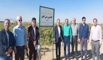 بازدید رئیس مؤسسه تحقیقات علوم باغبانی کشور از ایستگاه تحقیقاتی انگور