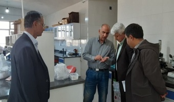 استمرار بازدید از روند نظارت بر کیفیت بذر غلات پاییزه؛ تضمین بذر سالم برای کشت پایدار