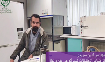 کلیپ  معرفی ارقام  جدید گندم دیم در قزوین