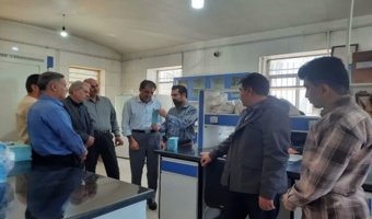 بازدید کارشناسی از بذور مادری تولیدی در استان قزوین؛ کشت پایدار در گرو بذر سالم