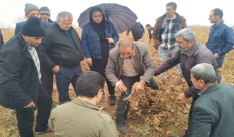 برگزاری کارگاه آموزشی مدیریت کنترل آفات و بیماریهای انگور در مرکز جهاد کشاورزی اقبالیه