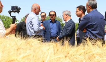 بازدید معاون وزیر جهاد کشاورزی و رئیس سازمان تات از ایستگاه تحقیقات کشاورزی و دامپروری اسماعیل آباد