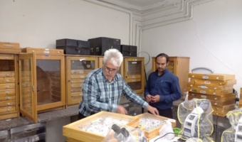 بهسازی بانک کلکسیون حشرات