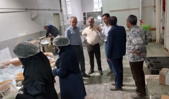 کارآفرینی در هم افزایی علم و تجربه؛ بازدید رئیس و معاون پژوهشی موسسه از کارخانه صنایع فرآوری سیزیجات در استان قزوین