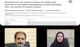 موفقیت کم نظــــیر پژوهشگران مرکز تحقیقات قزوین در انتشار مقاله علمی مرز علم مجله Q1 الزویر