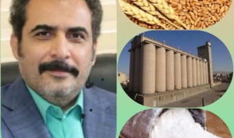 کیفیت پایین آرد قزوین نتیجه ذخیرهسازی نادرست گندم