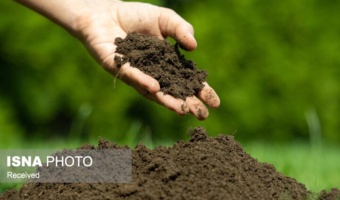 ۷۰ درصد اراضی قزوین کمبود فسفر دارند