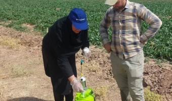محققین قزوین و ارزیابی کارایی سموم در عرصه میدانی ؛ اجرای عملیات سمپاشی چغندر قند در راستای اجرای طرح تحقیقاتی