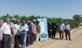 حضور محققین در عرصه ؛  برگزاری روز انتقال یافته های تحقیقاتی ذرت و کارگاه آموزشی کرم برگخوار پاییزه در شهرستان البرز(حومه الوند)