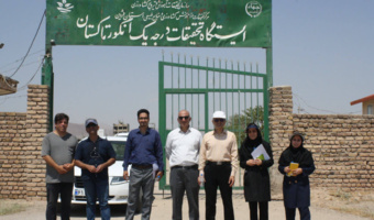 گام مؤثر در حفظ ذخائر ژنیتیکی انگور؛  بازدید از کلکسیون منابع ژنتیکی انگور تاکستان