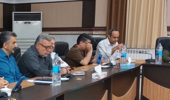 گمرکچی: تحقیقات زنبورعسل باید از «موضوع‌محوری» به «مسئله‌محوری» حرکت کند