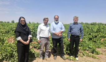 شناخت میدانی وضعیت نهاده های تولید در عرصه کشاورزی استان؛ بازدید از روشهای مختلف کشت انگور (کشت سنتی، داربستی، سایه بان و گلخانه ای) در شهرستان تاکستان