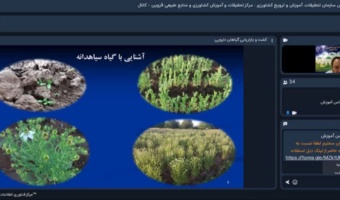 برگزاری دوره آموزشی آشنایی با کشت و بازاریابی گیاهان دارویی