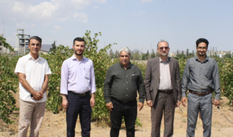 عزم جدی مرکز تحقیقات کشاورزی قزوین در راستای منافع ملی  بررسی احداث نیروگاه خورشیدی در ایستگاه تحقیقات انگور تاکستان