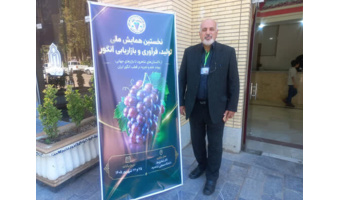 درخشش مرکز تحقیقات  قزوین در اولین همایش ملی انگور؛  حضور فعال پژوهشگران قزوینی در همایش ملی تولید، فرآوری و بازاریابی انگور