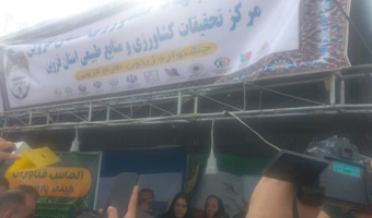 بازدید وزیر جهاد کشاورزی از غرفه مرکز تحقیقات و آموزش کشاورزی و منابع طبیعی استان قزوین در جشنواره ملی زیتون طارم سفلی
