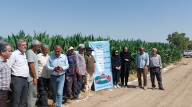 حضور محققین در عرصه ؛  برگزاری روز انتقال یافته های تحقیقاتی ذرت و کارگاه آموزشی کرم برگخوار پاییزه در شهرستان البرز(حومه الوند)