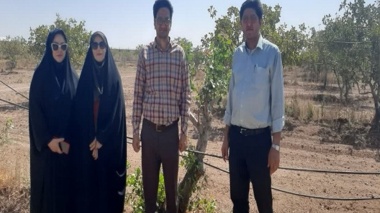 بازدید از پروژه سرشاخه کاری و دستاوردهای ایستگاه تحقیقات پسته یزبر
