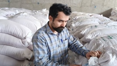 نمونه‌برداری از بذور گندم و جو آبی و دیم جهت تولید بذر با کیفیت گواهی شده