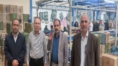بازدید رئیس مرکز تحقیقات کشاورزی قزوین از کشت و صنعت آقای قهرمانی