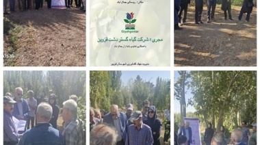 همگرایی با موسسات مادری با هدف نفوذ دانش در عرصه