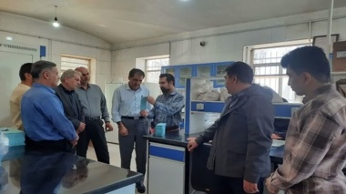 بازدید کارشناسی از بذور مادری تولیدی در استان قزوین؛ کشت پایدار در گرو بذر سالم