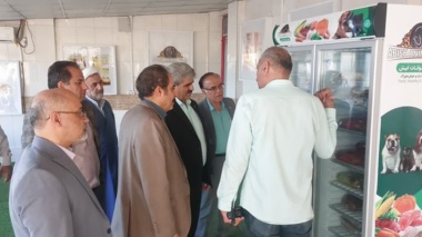 بازدید رئیس مؤسسه تحقیقات علوم دامی کشور از کارخانه تولید خوراک سگ در قزوین